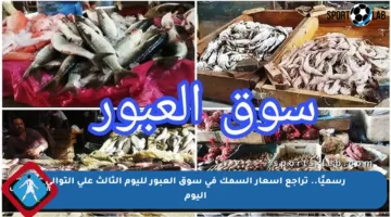 رسميًا.. تراجع أسعار السمك في سوق العبور لليوم الثالث على التوالي اليوم